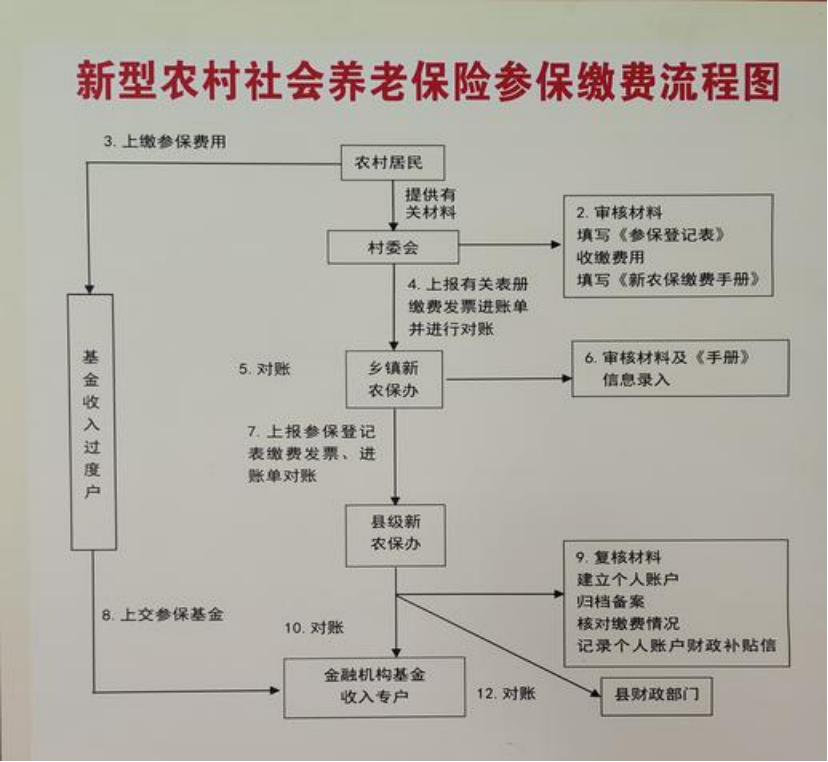 景德镇农村医保和社保有什么区别(农村医保跟社保的区别)